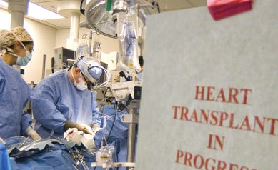 Department Of Medicine Rochester Ny University Of Rochester